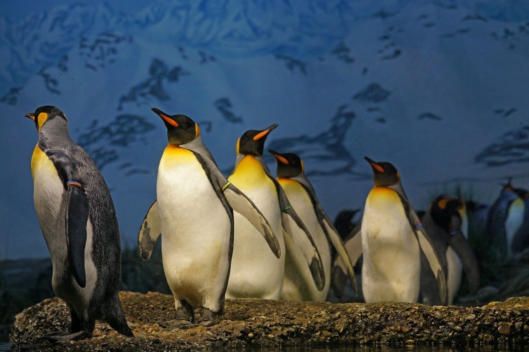 sujet de conversation sur un site de rencontre