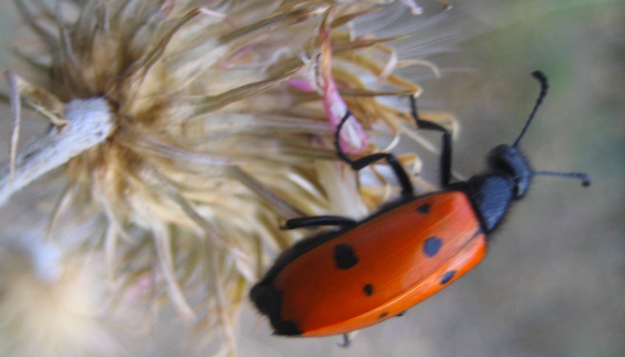 comment avoir un etat d esprit positif