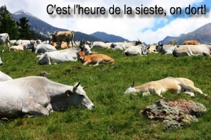 L'utilisation abusive du on a la place du je ou du nous a des répercussions sur l'estime de soi