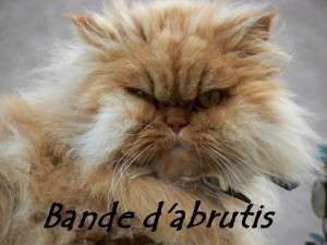 Face aux idées rejetées, nous réagissons souvent mal