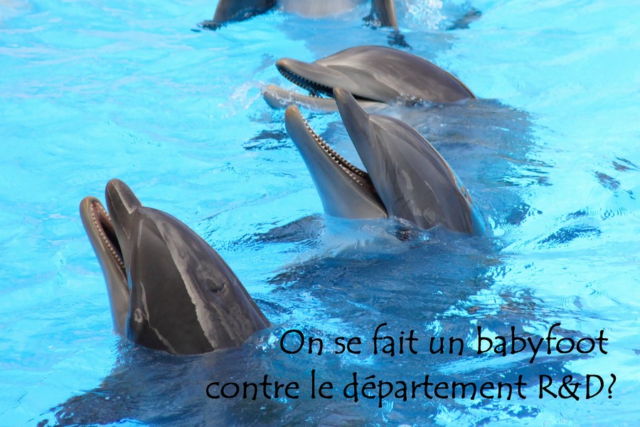 Le plaisir au travail, ce n'est pas des activités connexes fun, c'est prendre du plaisir dans l'exécution de ses tâches