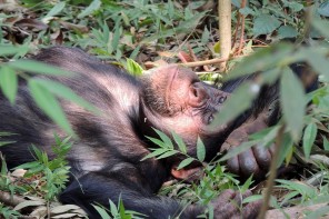 fiche rencontre avec un professionnel