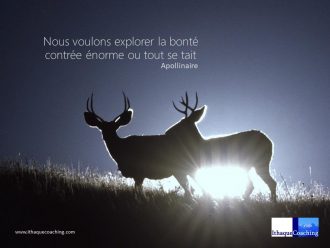 Explorer les vastes territoires parfois méconnus de la bonté, celle en nous qui ne demande qu'à s'exprimer, celle en les autres que nous ne voyons pas toujours