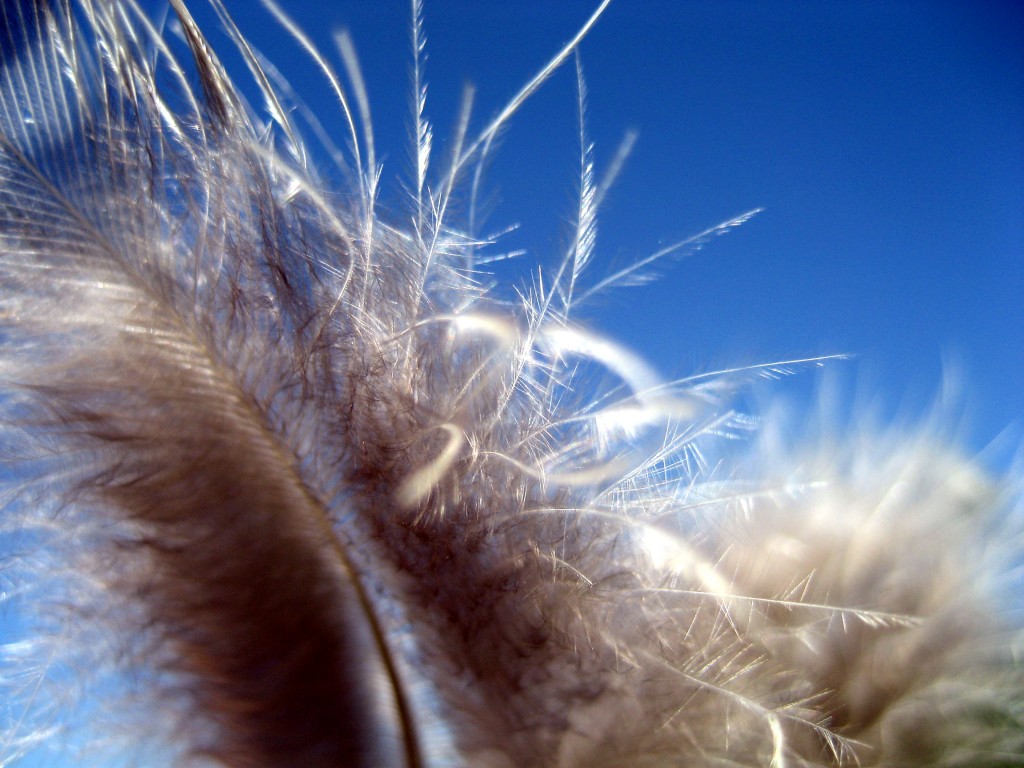 Dossiers à fermer léger comme une plume