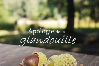 Apologie de la glandouille, la bulle, la paresse qui permettent de se ressourcer et de recharger les batteries de votre cerveau