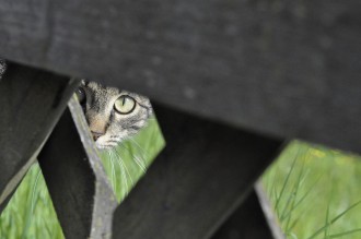 La curiosité est une sacrée qualité à débrider