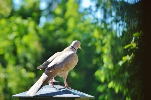 Les émotions sont les messagers des besoins à combler