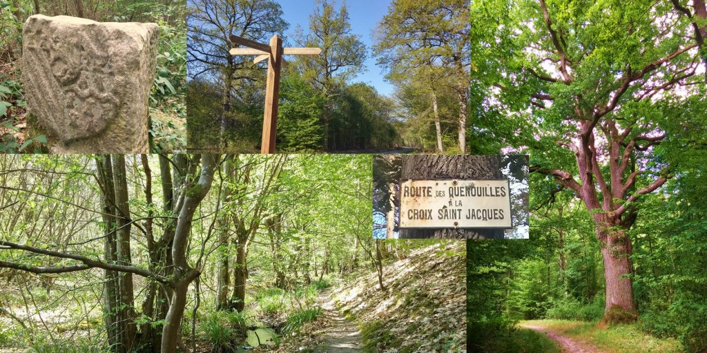 le bain de forêt prut prendre bien des formes