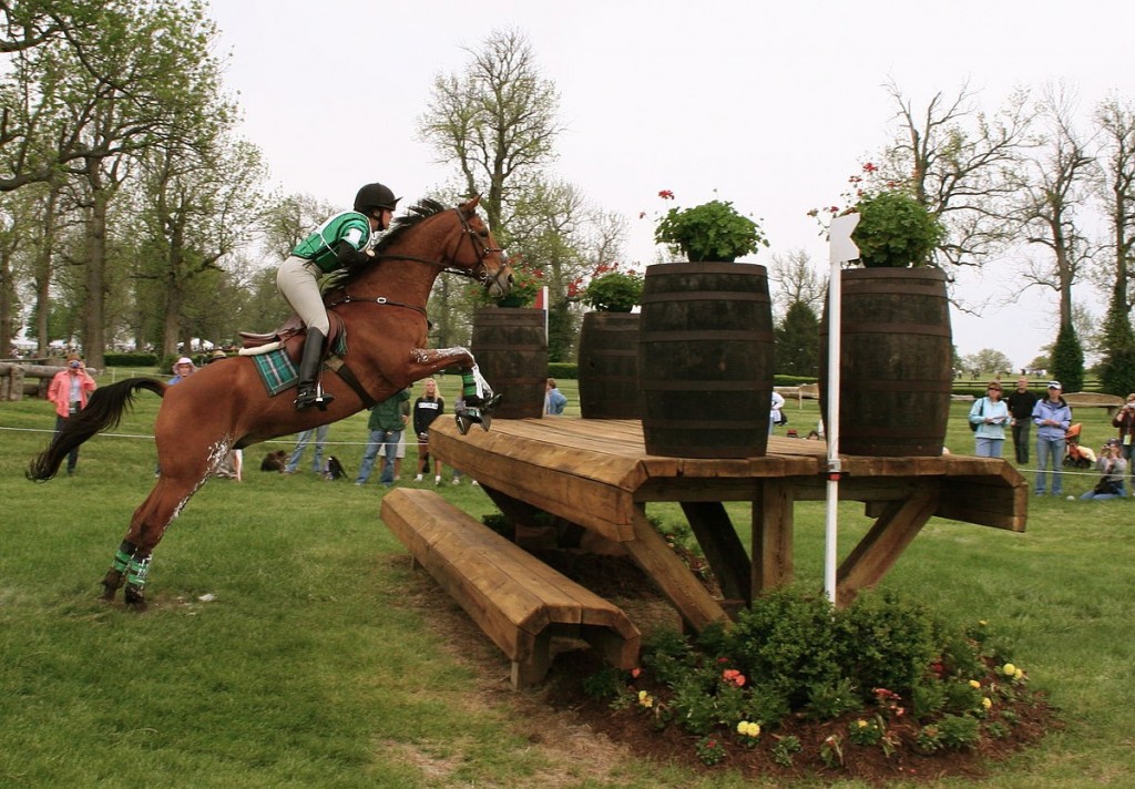 projet professionnel obstacles