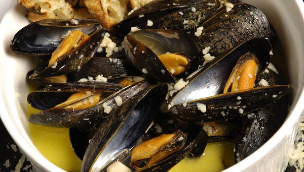 Créativité, inspiration et moule safranée