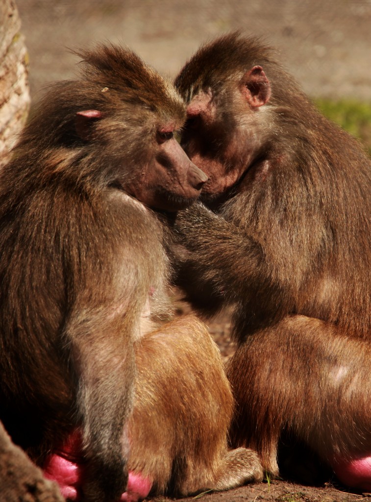 La perte d'empathie peut avoir un impact négatif sur nos relations. voici comment 'éviter.