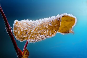 comment passer un bon hiver