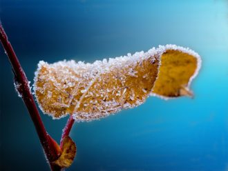 comment passer un bon hiver