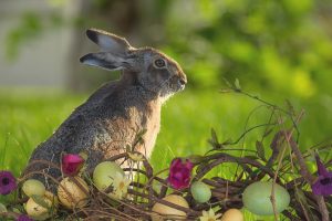 chercher ses désirs et projets comme une chasse aux oeufs de pâques