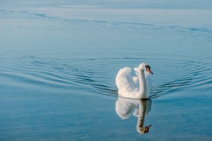 Cesser de se dévaloriser et construire un regard bienveillant