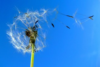 la lecture émotionnelle au service du plaisir au travail