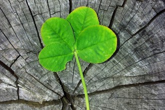 La réussite d'une reconversion ne doit rien à la chance, elle doit tout aux efforts de ceux qui l'ont menée