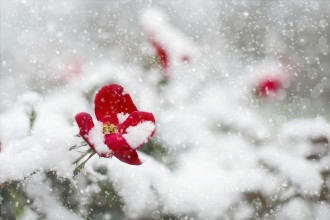 5 pistes pour gérer le sentiment d'impuissance