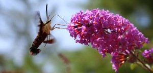 Nos réaction émotionnelles révèlent des talents naturels bien utiles