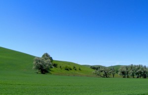 Quelques pistes pour prendre du recul pendant l'été