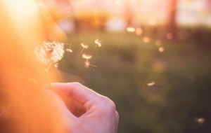 réinventer son métier pour se libérer au lieu de crouler sous les contraintes