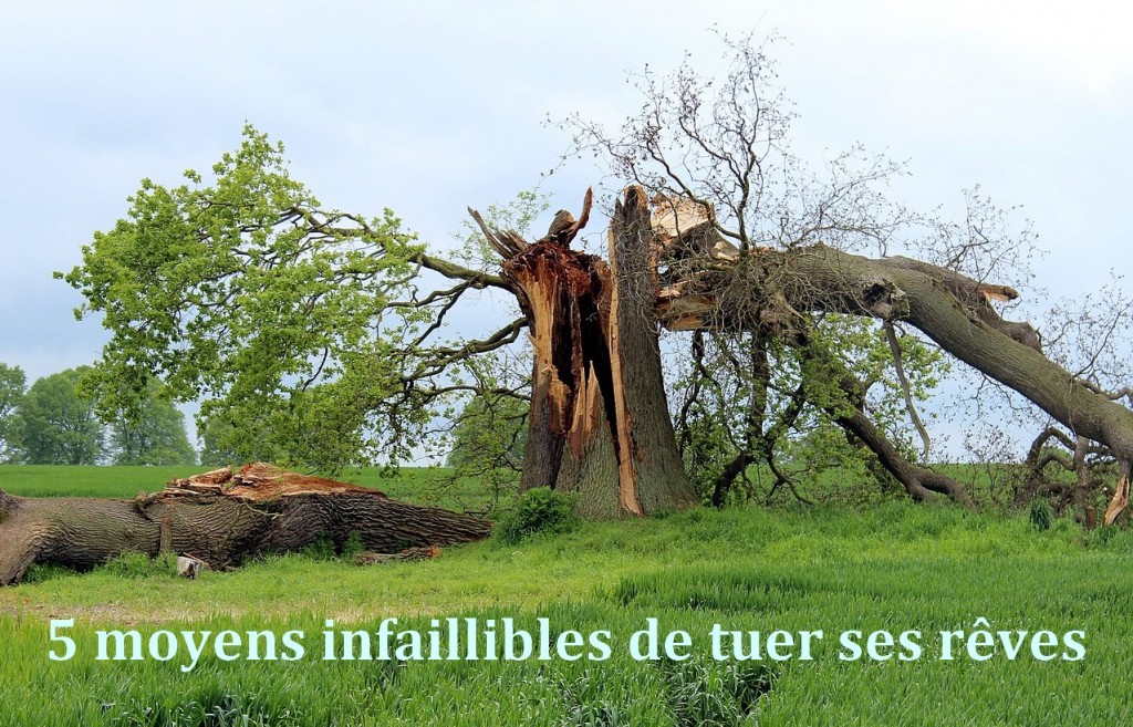 5 moyens de tuer ses reves