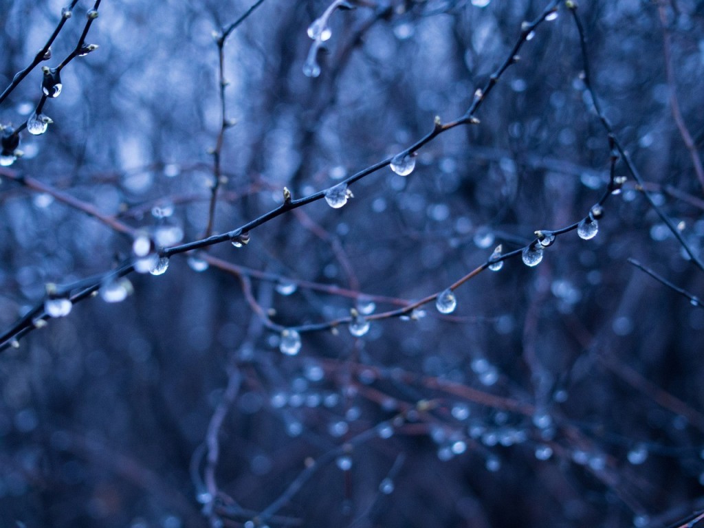 météo intérieure: des mots sur les émotions: tristesse