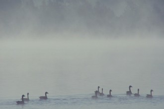 Que faire quand la tragédie frappe au lieu de travail