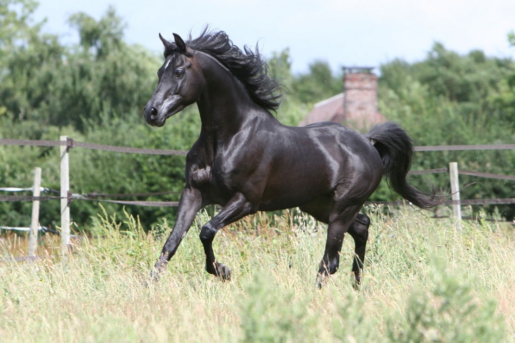 reconversion impulsion puissante élégante