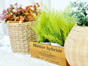 L'hybridation des métiers: chronique d'une reconversion annoncée