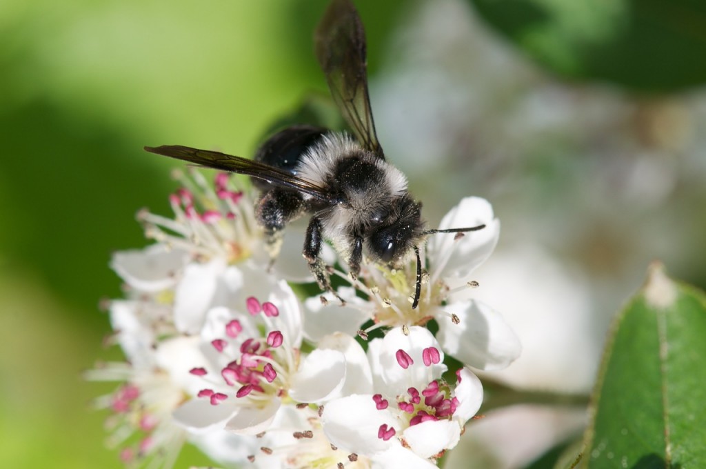 Chronique d'une reconversion annoncée: hybridation des métiers