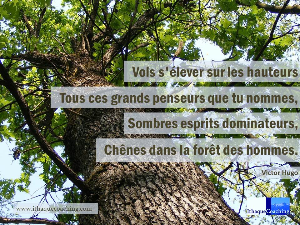 citations inspirantes