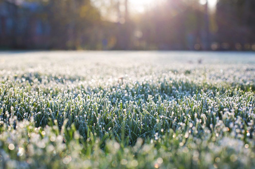 Profiter de la lumière en hiver