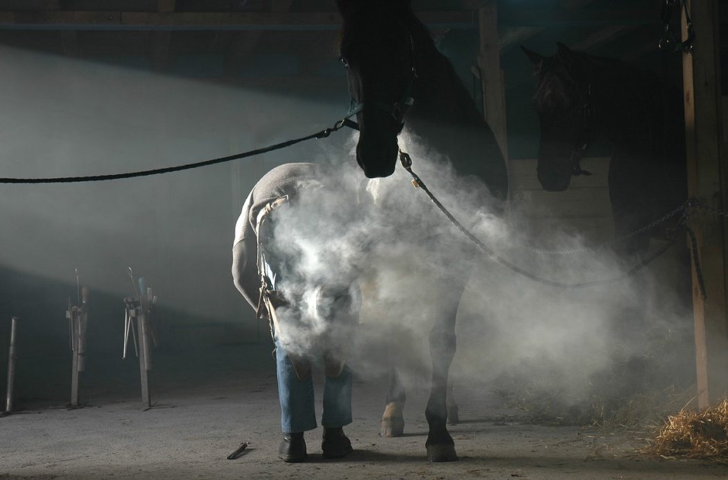 L'hybridation des métiers est leur seul avenir