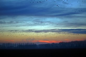 Tirer les enseignements 2017 pour l'envol 2018: prendre le temps de construire ses relations et/ou sa reconversion