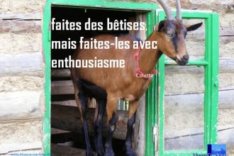 Faites des bêtises, mais faites-les avec enthousiasme