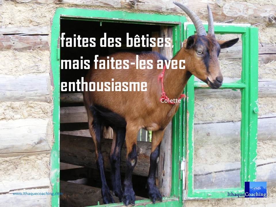 Faites des bêtises, mais faites-les avec enthousiasme