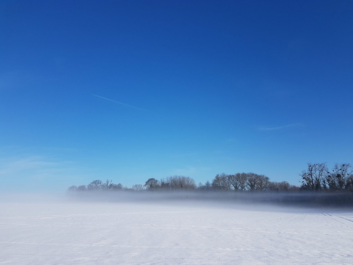 Une vague de froid, c'est pas non plus un hiver à Tunguska!