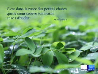 Vitamines mentales C'est dans la rosée des petites choses que le coeur trouve son matin et se rafraîchit