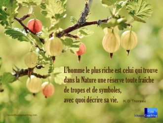 Connaissance de soi: Que voyons-nous de nous-mêmes quand nous regardons la nature?