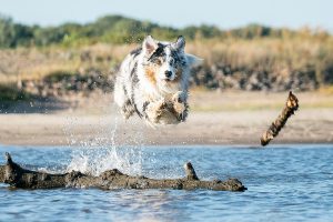 Il y a une vie après le boulot! Trouvez la vôtre et partez à l'heure au lieu de ne pas compter vos heures