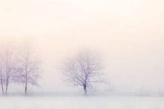 Philosophie de vie: chérir le souffle de la pensée, de la réflexion, plutôt que de la vérité ou des voies tracées