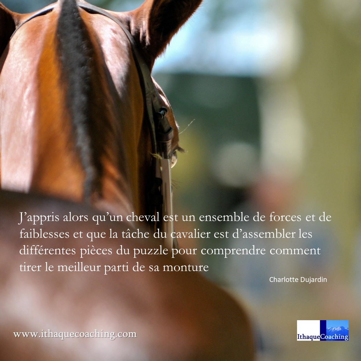 Petite Lecon Equine Au Service De L Acceptation De Soi Ithaque Coaching