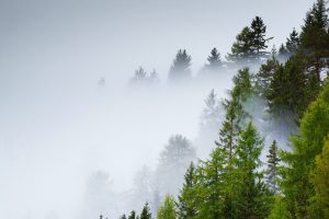 Comment dépasser le sentiment d'être perdu(e) dans le brouillard en reconversion