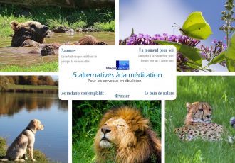 5 alternatives pour ceux qui n'aiment pas méditer