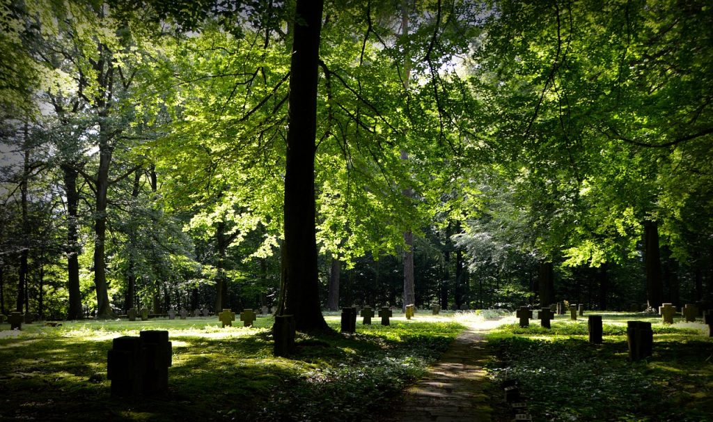 Le manque de sommeil diminue l'espérance de vie