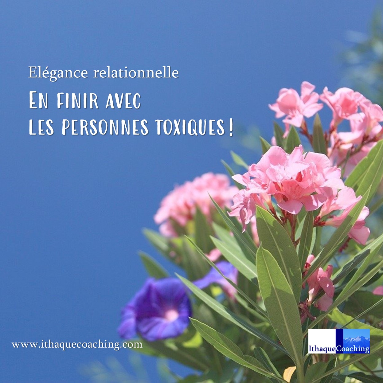 Elegance Relationnelle Ras La Carafe Des Personnes Toxiques Ithaque Coaching Elegance Relationnelle Ras La Carafe Des Personnes Toxiques Ithaque Coaching