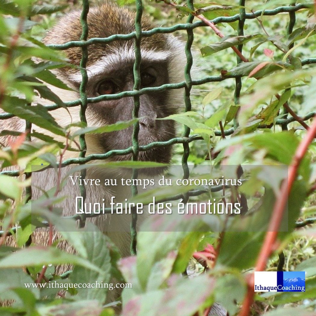 Comment gérer les émotions pendant le confinement