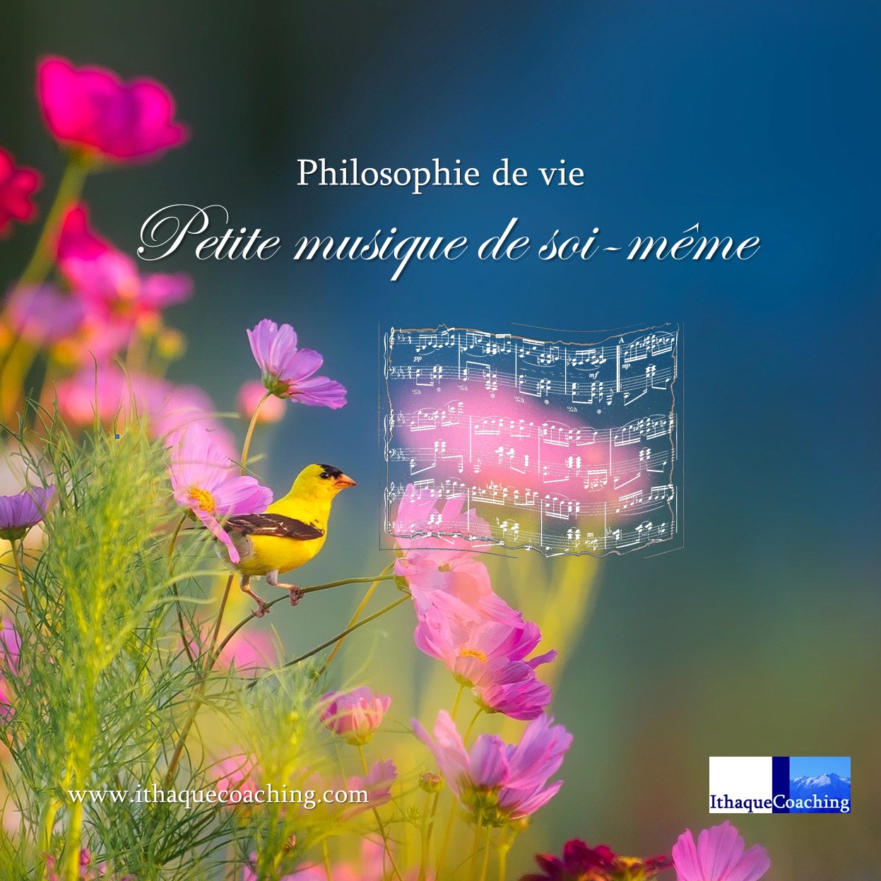 Philosophie De Vie Une Petite Musique De Soi Meme Ithaque Coaching