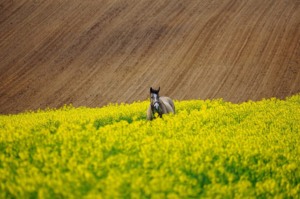 Nos interprétations nous parlent davantage de nous, de nos croyances et convictions, que de la réalité